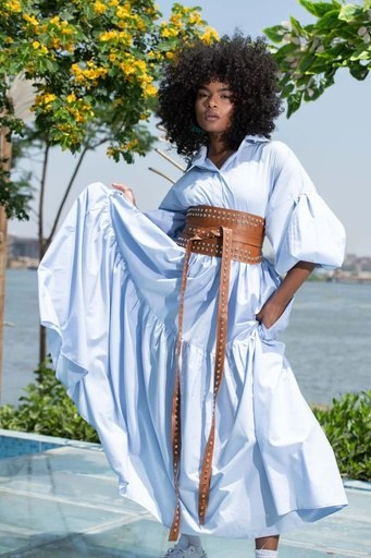 Belted Muse Dress