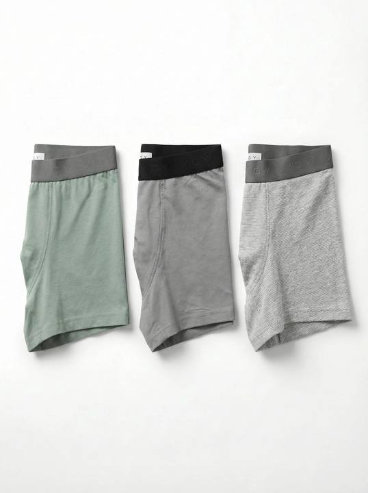 TRIPLE COLOR DAILY WEAR BOXER | 3-PACK