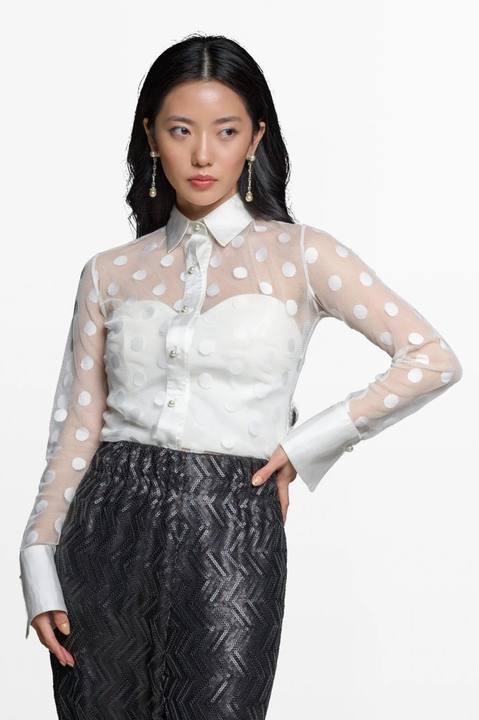 Polka Dot Tulle Blouse