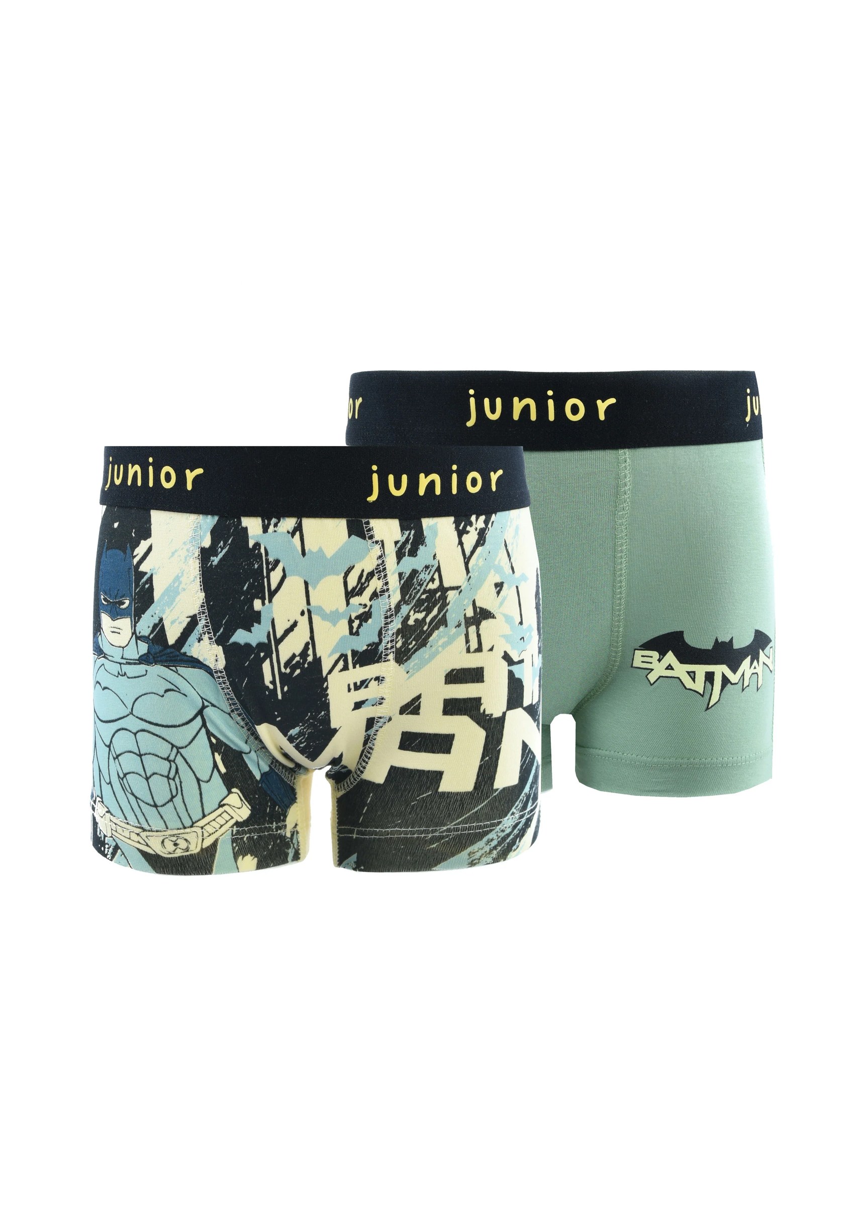 Printed Boxer 664