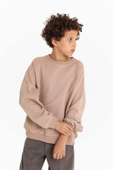Sweat Shirt