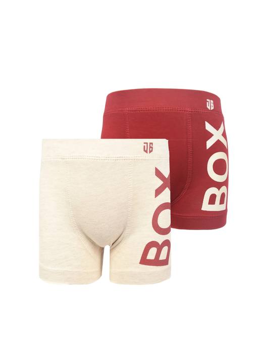 Printed Boxer 661