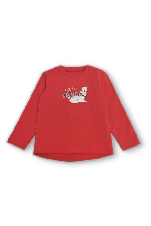 Printed Sweat Shirt