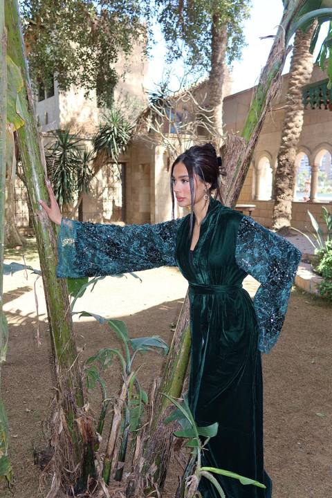 Velvet palm