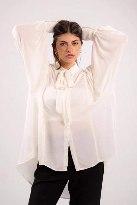 Chiffon Blouse