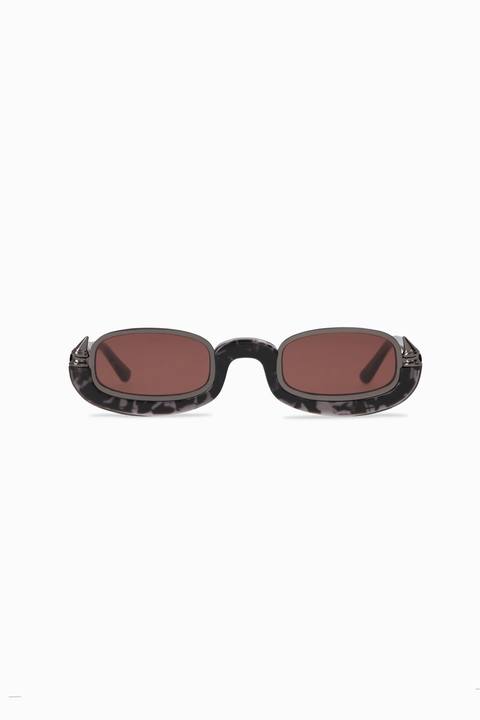 The Falak Shades