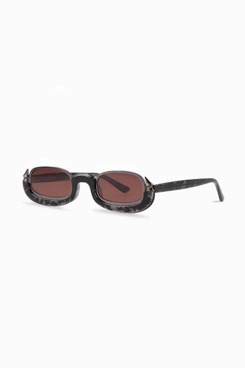 The Falak Shades