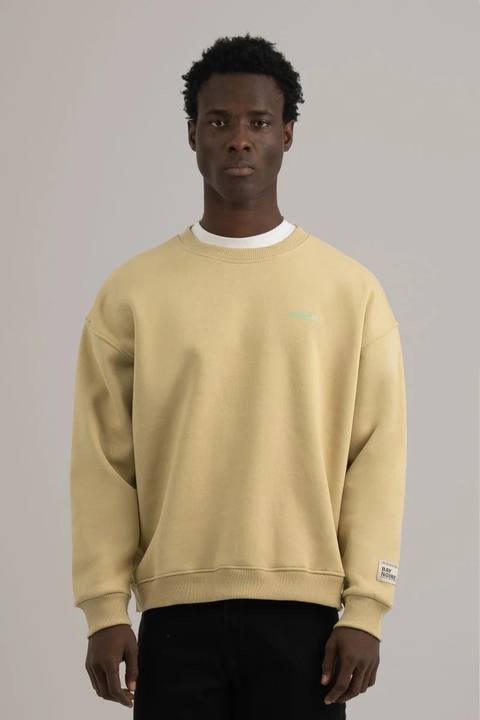 Pistachio Logo II PL Oversized Sweatshirt