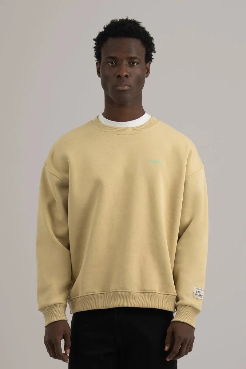 Pistachio Logo II PL Oversized Sweatshirt