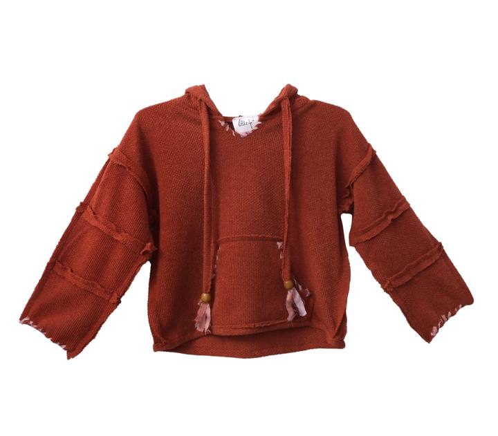 Little Stitched Up Coziness Hoodie in Brick