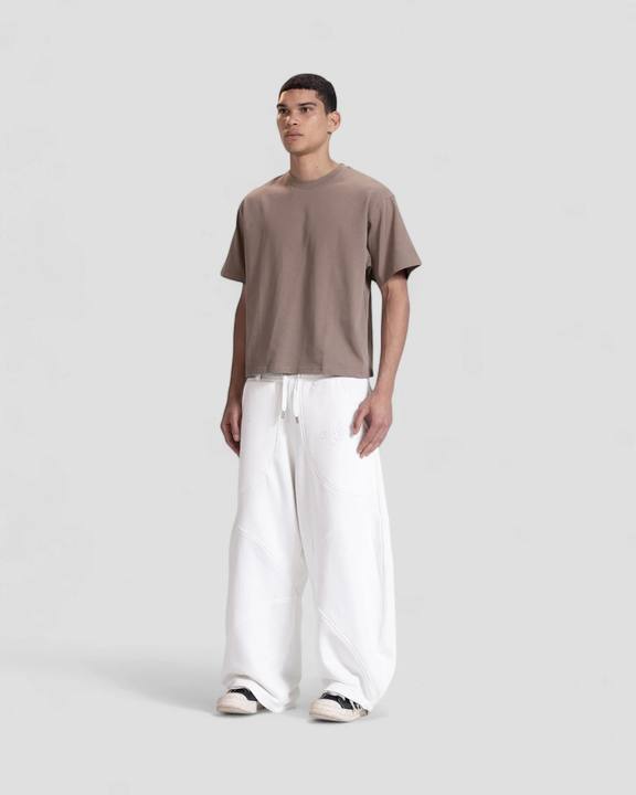 The Perfect Blank Beige Boxy Tshirt V1