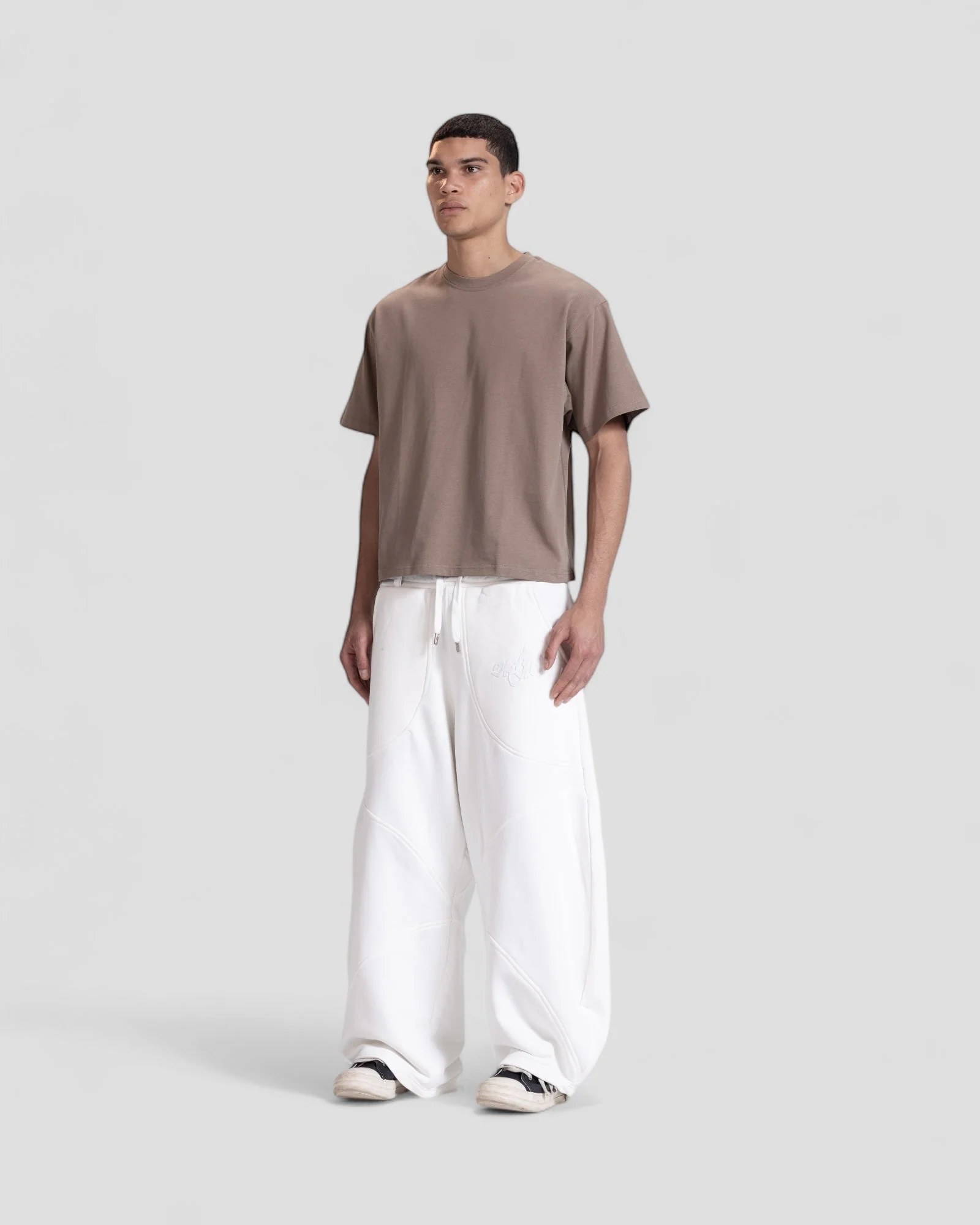 The Perfect Blank Beige Boxy Tshirt V1